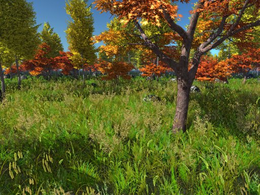 Forest demo