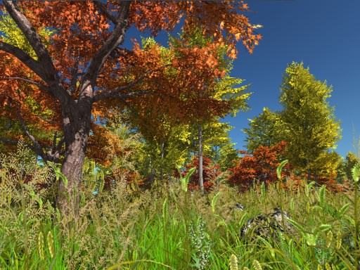 Forest demo
